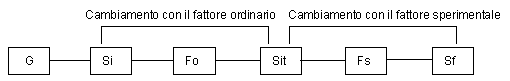 Piano sperimentale a gruppo unico