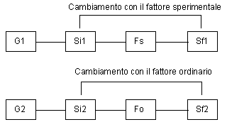 Piano sperimentale a due gruppi