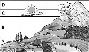 L'altitudine può assumere quattro stati: A (pianura), B (collina), C (montagna), D (alta montagna) [http://www.spacsport.nl/images/schoenen/categorie.jpg]