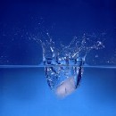 autolisi [http://www.lauraquinti.net/images/Acqua.jpg]