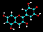 enzima proteolitico [http://www.science.unitn,it/biophysicslab/thesis/degree4th/Abstrcts/lunelli2.gif]